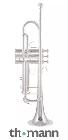 B&S 3137-S Challenger I S