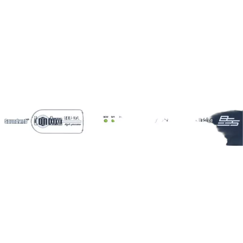 BSS BLU-DAN BLU link accessories