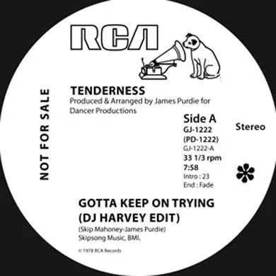Gotta Keep On Trying (DJ Harvey Edit) 12"