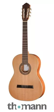 Höfner HZ23