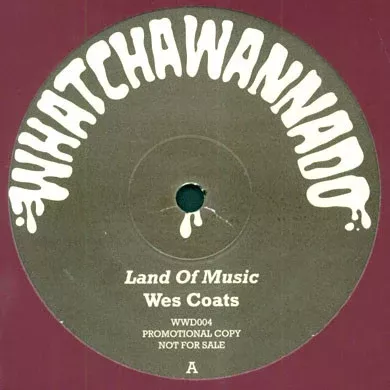Land of Music / Love 12"