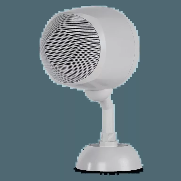 RCF DP 5EN Unidirectional Sound Projector