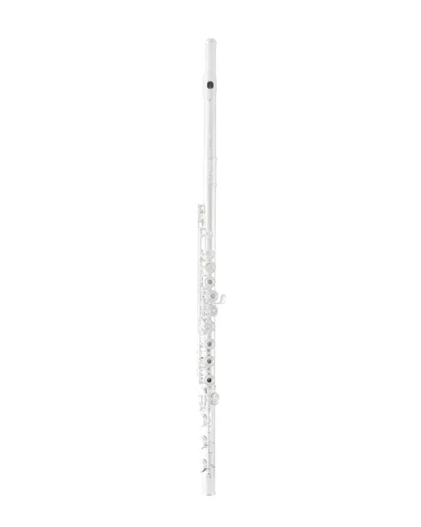 Selmer Intermediate Flute Outfit
